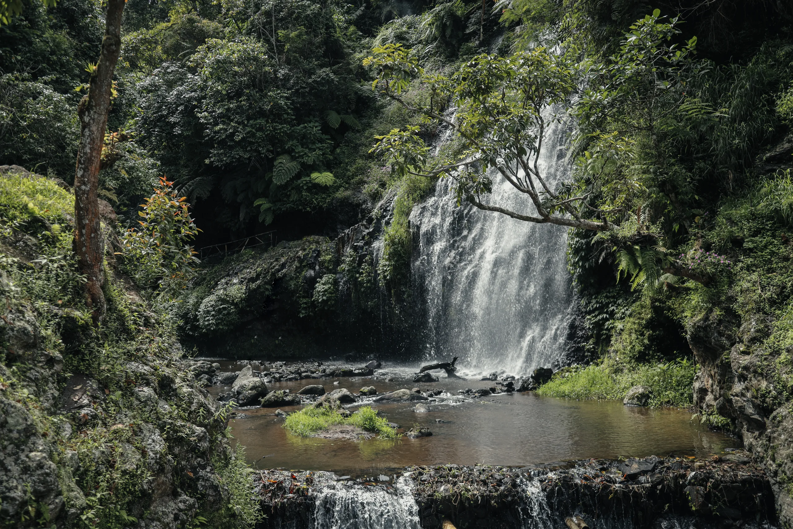 Foto — cachoeira em meio à mata